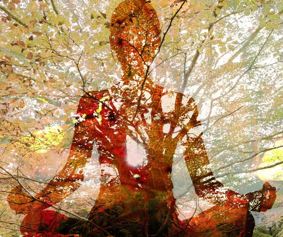 body with trees growing inside, niio dance